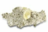 Calcite and Brassy Chalcopyrite on Dolomite - Missouri #252143-1